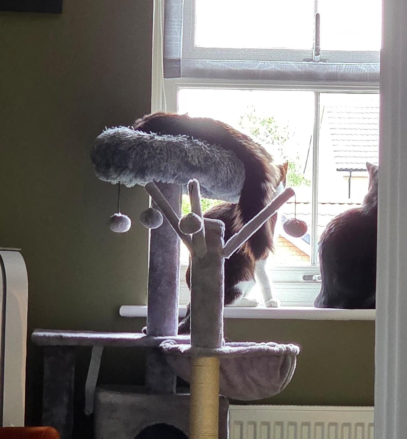 Cat Tree Scratcher