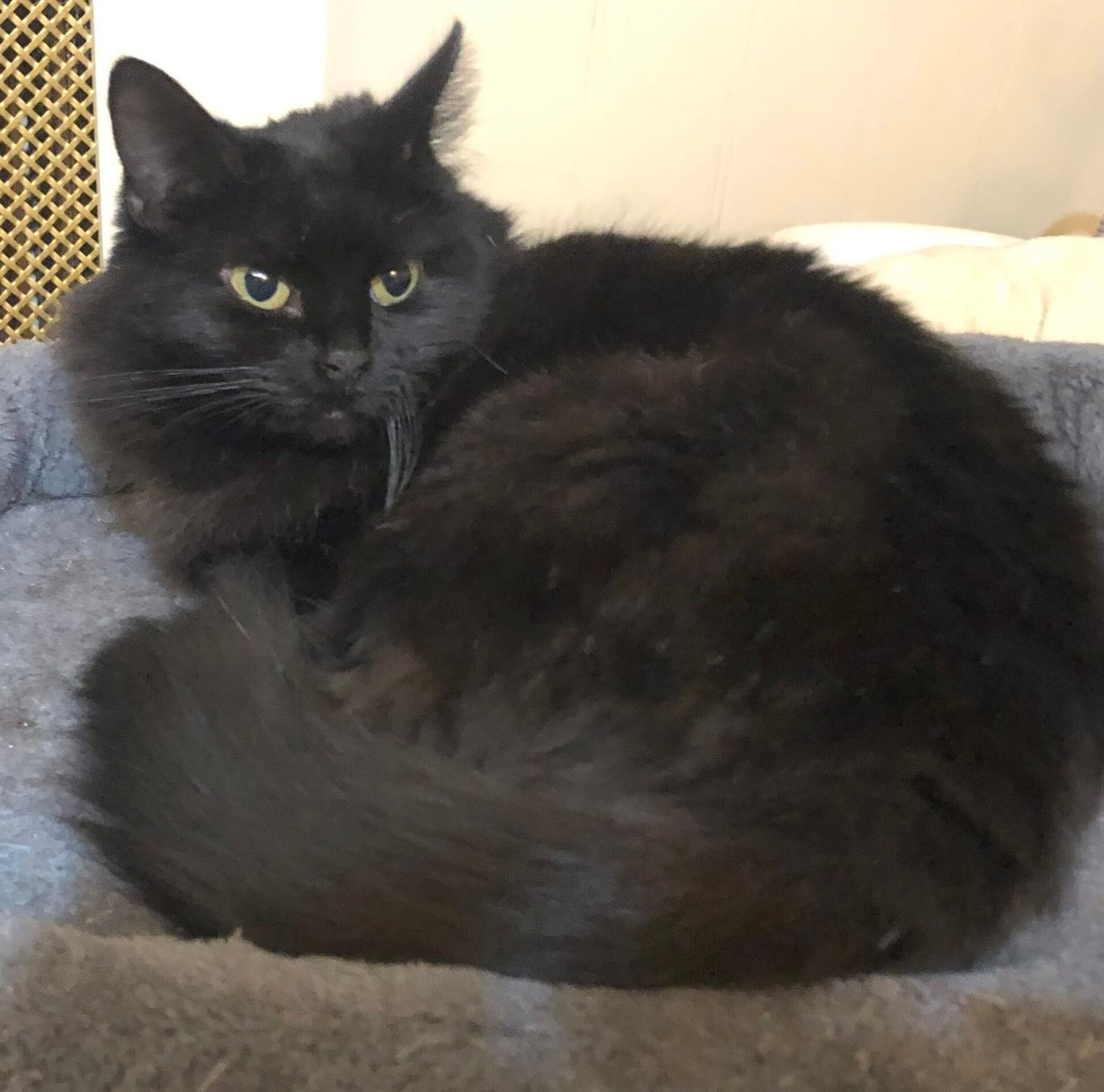 Taylor in a bed at The Sanctuary