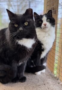 Jax and George
