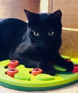 Sooty